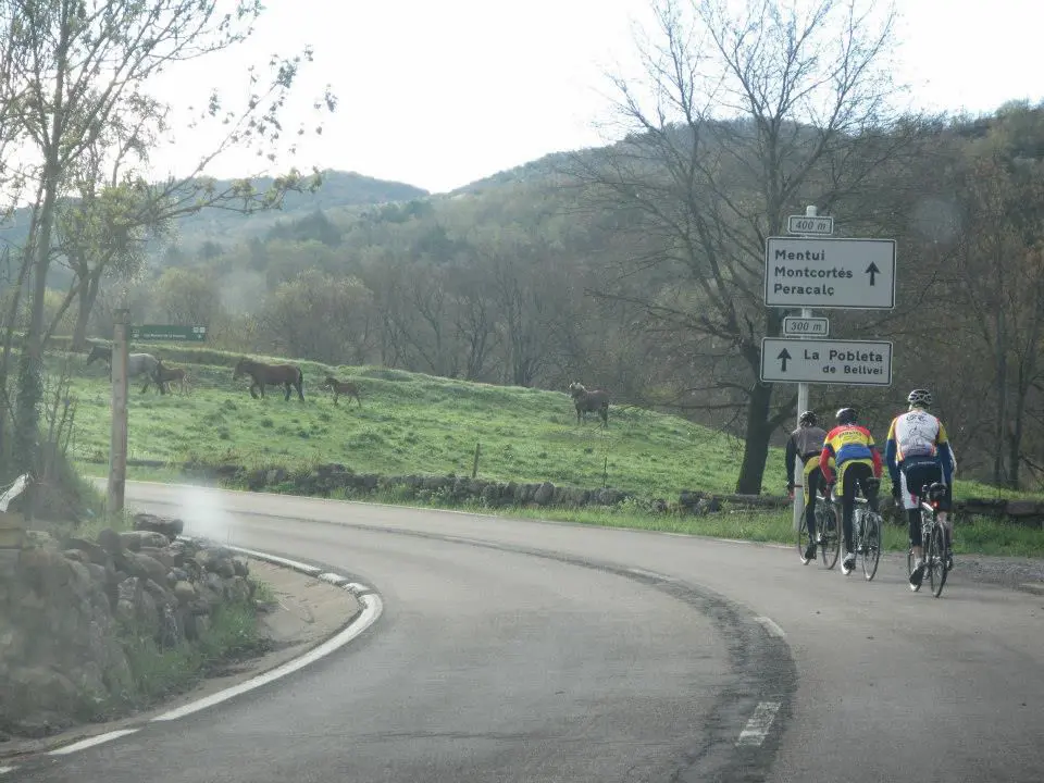 ciclo3